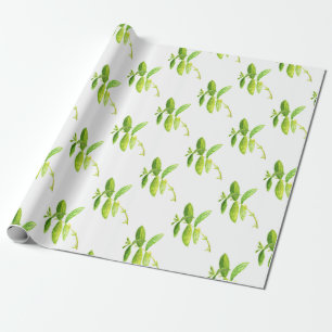 Mint herb watercolor Green Garden plant kitchen Wrapping Paper