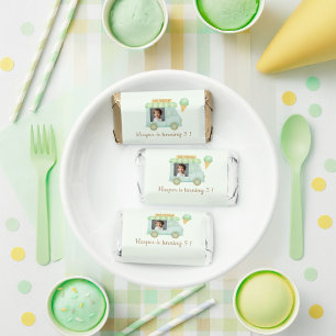Mint Ice Cream Truck Birthday Hershey's Miniatures
