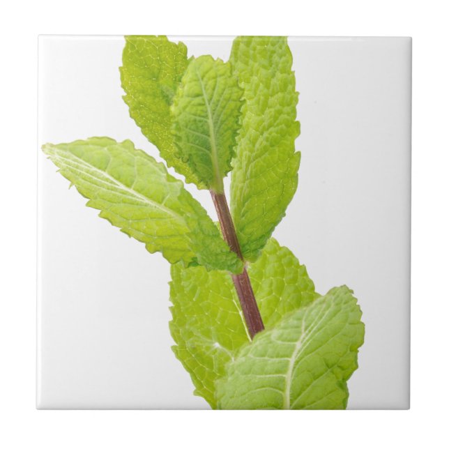 Mint leaves ceramic tile (Front)