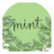 Mint leaves
