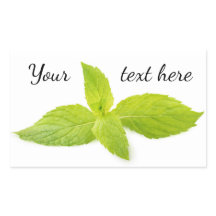 Mint leaves