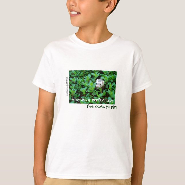 Mint Me a Perfect Day / I've Come to Play T-Shirt (Front)