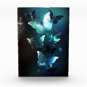 Mint Night Butterflies Acrylic Award