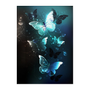 Mint Night Butterflies Acrylic Print