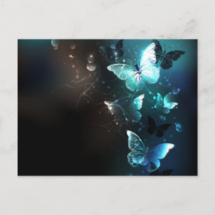 Mint Night Butterflies Announcement Postcard