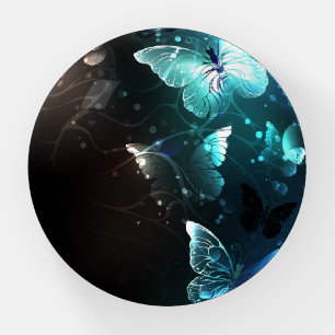Mint Night Butterflies Paperweight