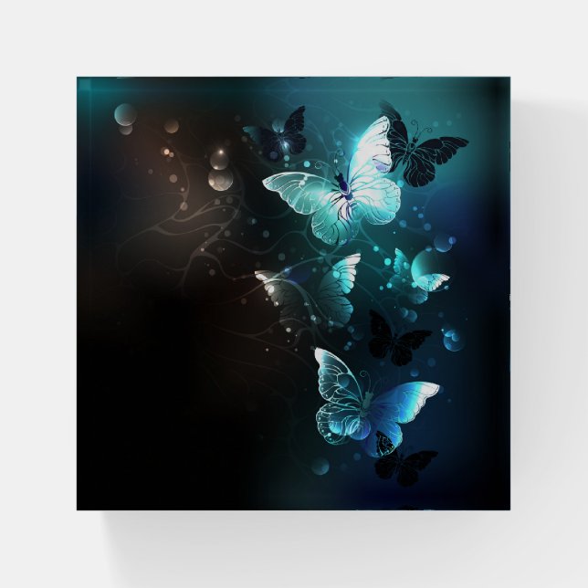 Mint Night Butterflies Paperweight (Front)