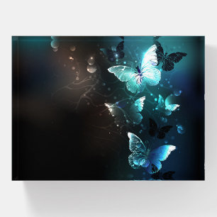 Mint Night Butterflies Paperweight