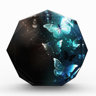 Mint Night Butterflies Photo Block