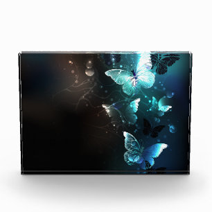 Mint Night Butterflies Photo Block