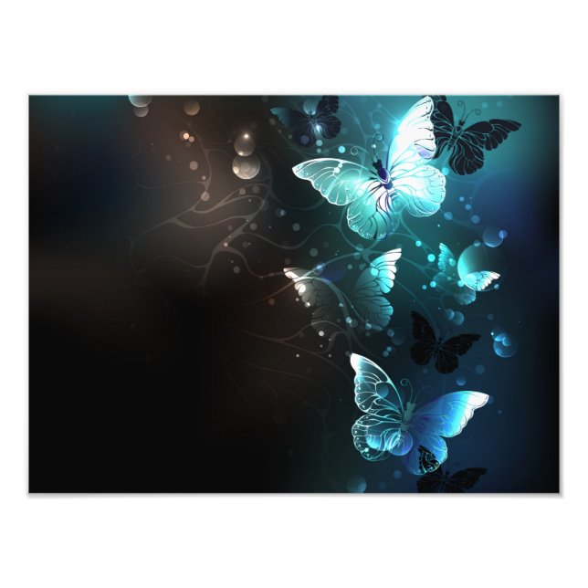 Mint Night Butterflies Photo Print (Front)