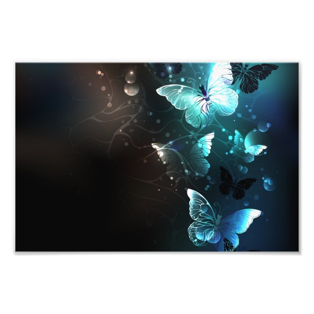 Mint Night Butterflies Photo Print (Front)