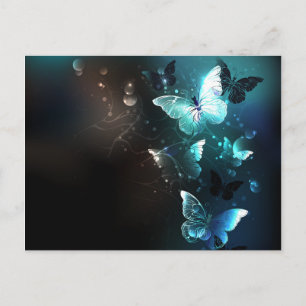 Mint Night Butterflies Postcard