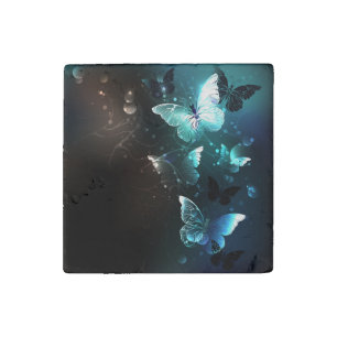 Mint Night Butterflies Stone Magnet