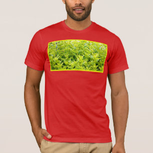 "Mint Plants" Cute Photo. Buy Now T-Shirt
