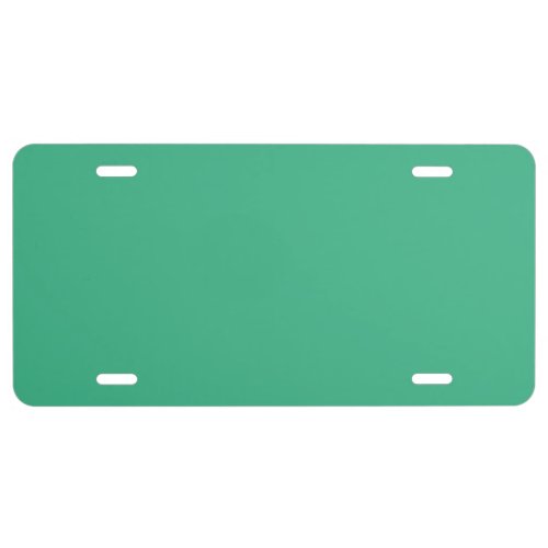 Mint Solid Color License Plate