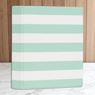Mint Stripe Mini Binder