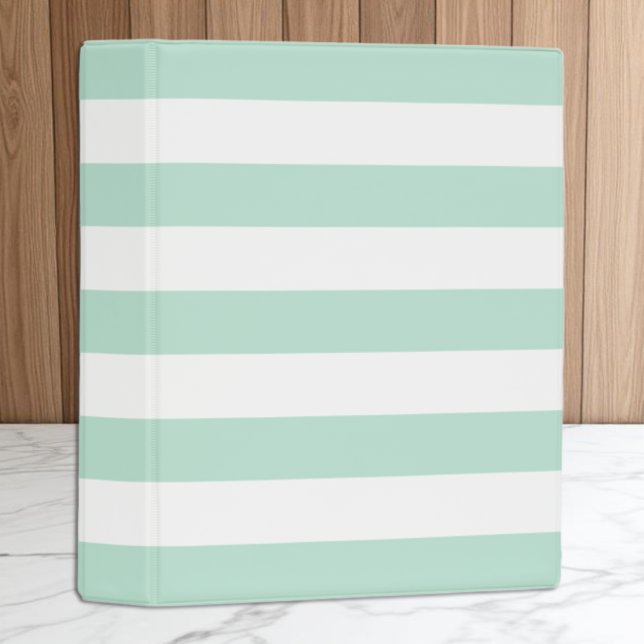 Mint Stripe Mini Binder (Creator Uploaded)