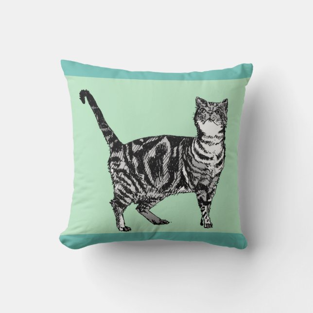 Mint Tabby Cat cats pet animal Cushion (Front)