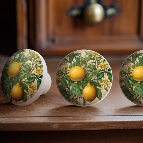 Mintons Lemons Journal Victorian Yellow Kitchen Ceramic Knob