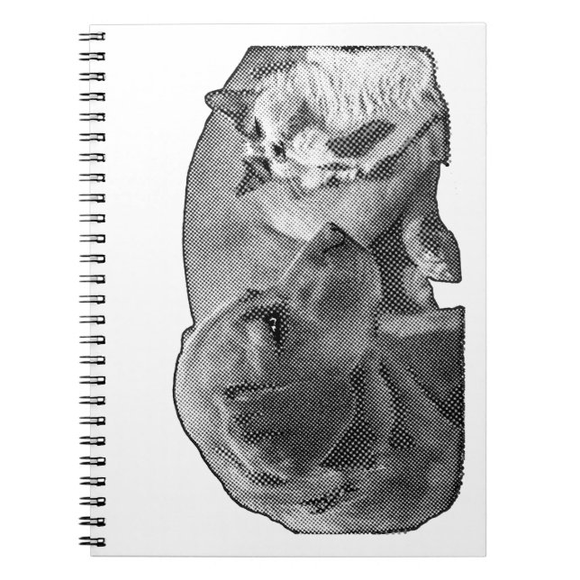 Minutes of the Peace Corner Notebook (Front)