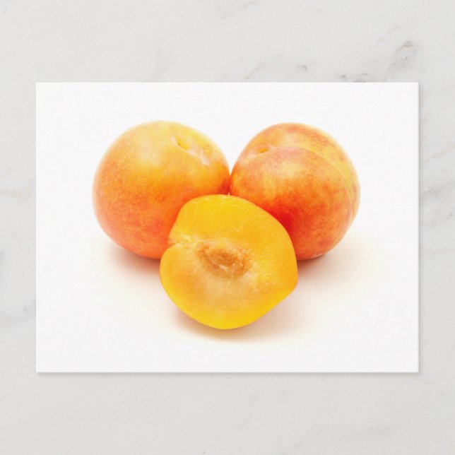 Mirabelle Plum Postcard (Front)