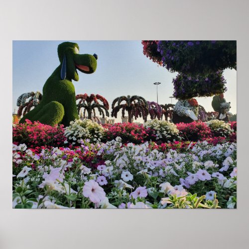 Miracle Garden Dubai UAE Poster