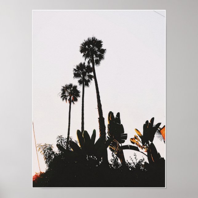 Miracle Mile Palms Poster (Front)