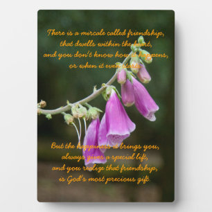 Miracle of Friendship Plaque