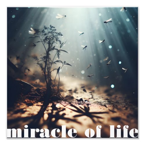 Miracle of Life Photo Print