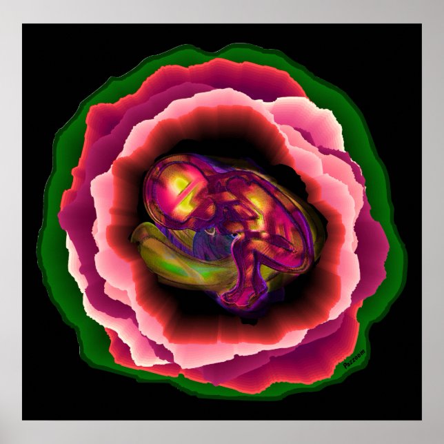 Miracle of Life Poster (Front)