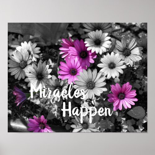 Miracles Happen African Daisy Flowers  Poster