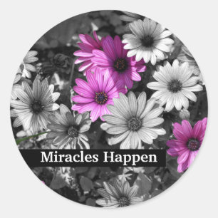 Miracles Happen Daisies Inspirational Classic Round Sticker