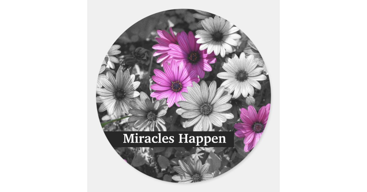 Miracles Happen Daisies Inspirational Classic Round Sticker | Zazzle
