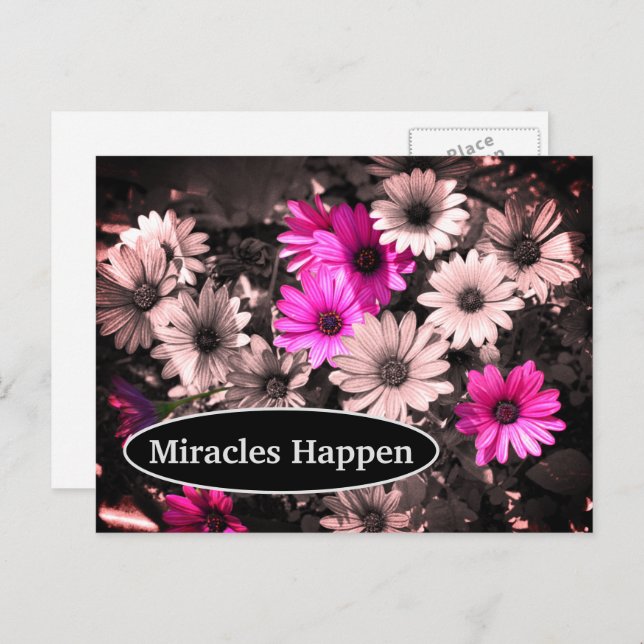 Miracles Happen Daisies Inspirational Postcard (Front/Back)