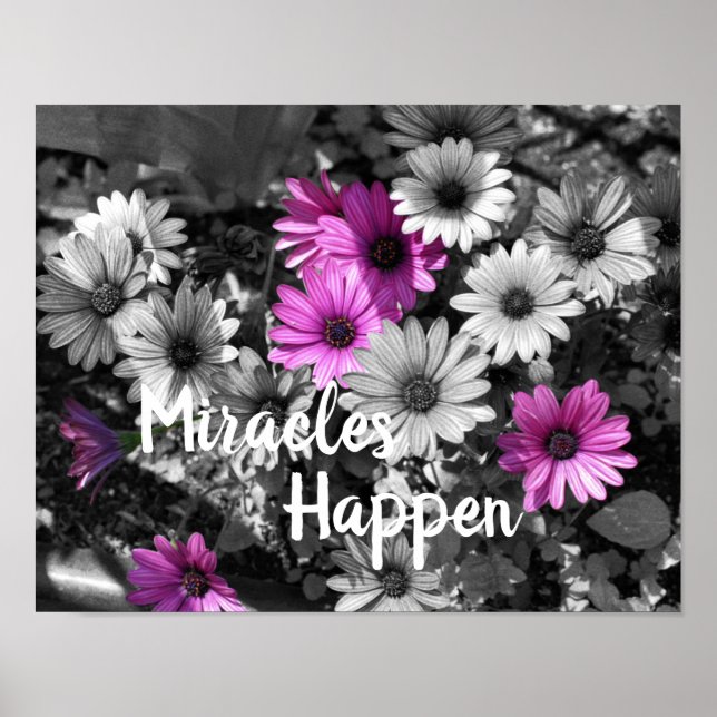Miracles Happen Daisy Flowers Inspirational Poster (Front)