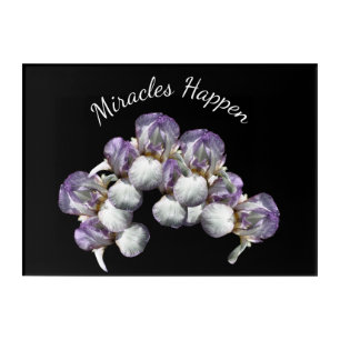 Miracles Happen Iris Flowers Inspirational Acrylic Print