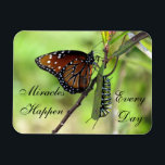 Miracles Happen Magnet<br><div class="desc">Butterflies have always been a sign of miracles to me... ... ... so this photo is especially special ... both the caterpillar and the butterfly together.</div>