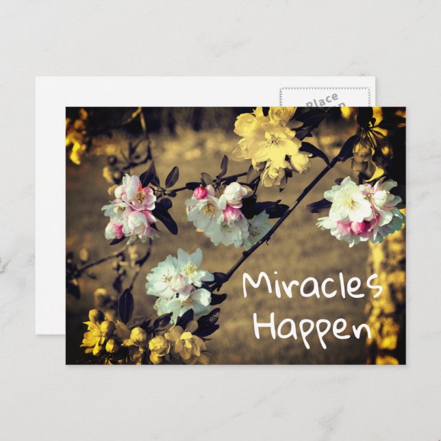 Miracles Happen Spring Blossoms Inspirational Post Postcard (Front/Back)
