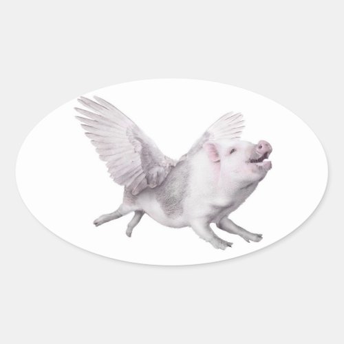 Miracles Possibility Joy Flying Pigs When Pigs Fly Oval Sticker