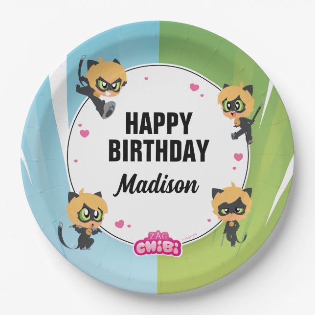 Miraculous Cat Noir Birthday Paper Plates (Front)