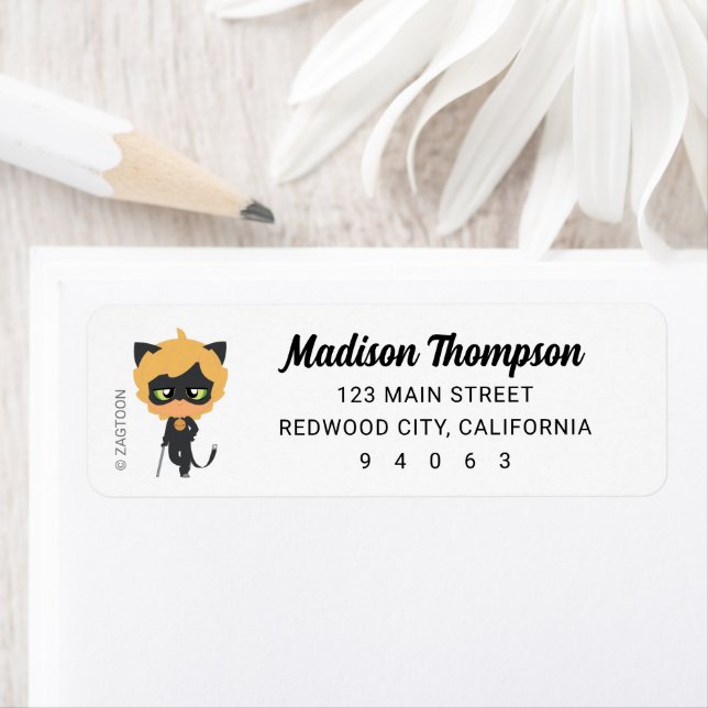 Miraculous Cat Noir Chibi Birthday Label (Insitu)