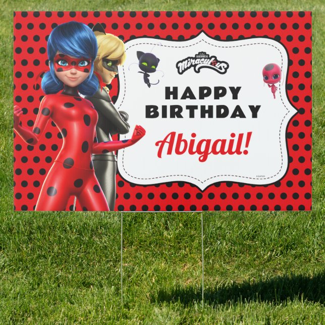 Miraculous Ladybug & Cat Noir Birthday Sign (Insitu)