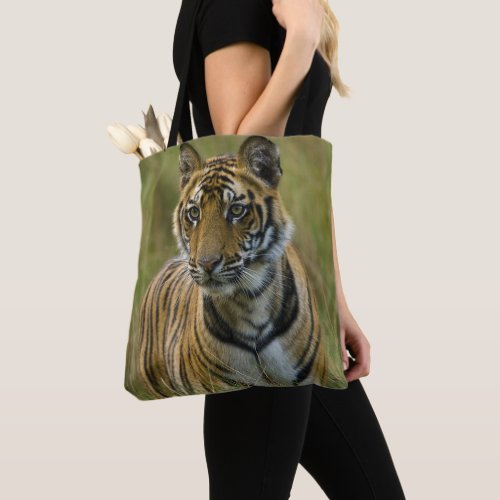 Mirchaini Cub Female Tiger Bandhavgarh India Tote Bag