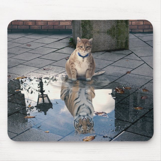 Mirror cat mouse pad (Front)