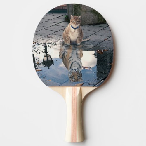 Mirror cat ping pong paddle