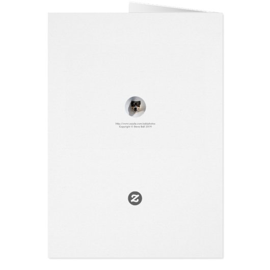 Mirror image trees (Back)