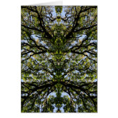 Mirror image trees (Front)