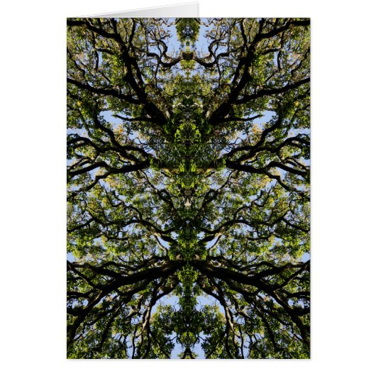 Mirror image trees cards (Front)