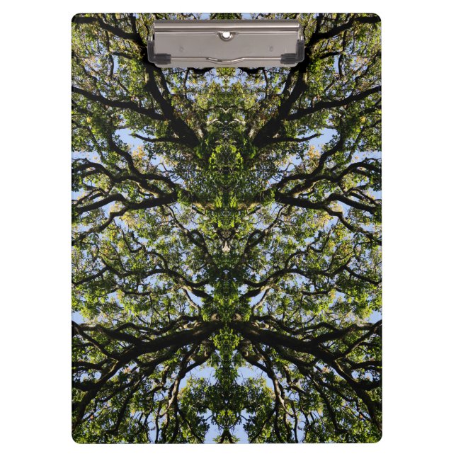 Mirror image trees clipboard (Front)